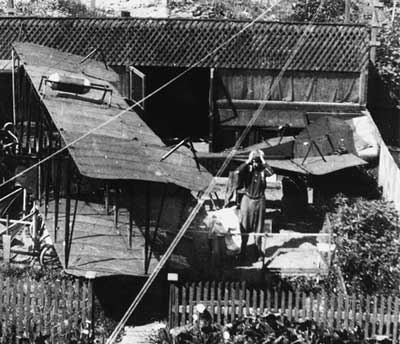 Gonzales Brothers’ Backyard